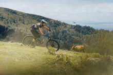 Charger l'image dans la galerie, ION Bikeshorts Traze X WMS 2021