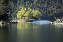 Lade das Bild in den Galerie-Viewer, Collision Weste Core Front Zip