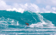 Carica l'immagine nel visualizzatore di Gallery, Duotone Pro Session 2019