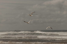 Load image into Gallery viewer, action_shot