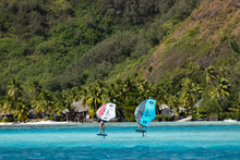 Load image into Gallery viewer, Duotone Wing Set Aero Free SLS 2024