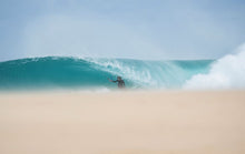 Load image into Gallery viewer, action_shot