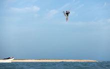 Lade das Bild in den Galerie-Viewer, action_shot