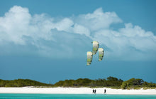 Load image into Gallery viewer, action_shot