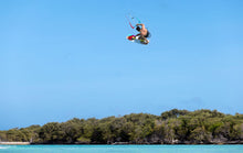 Load image into Gallery viewer, action_shot