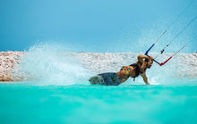 Carica l'immagine nel visualizzatore di Gallery, action_shot