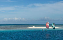 Carica l'immagine nel visualizzatore di Gallery, Duotone Neo 2024