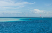 Carica l'immagine nel visualizzatore di Gallery, Duotone Neo 2024