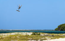 Lade das Bild in den Galerie-Viewer, action_shot