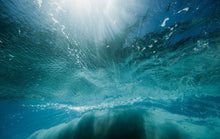 Load image into Gallery viewer, action_shot