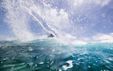 Carica l'immagine nel visualizzatore di Gallery, action_shot