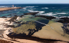 Load image into Gallery viewer, action_shot