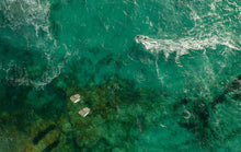 Load image into Gallery viewer, action_shot