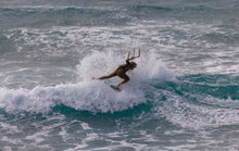 Lade das Bild in den Galerie-Viewer, action_shot