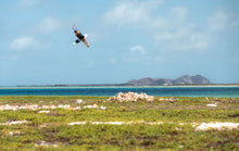 Carica l'immagine nel visualizzatore di Gallery, action_shot