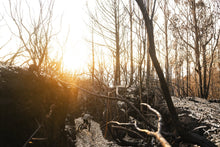 Load image into Gallery viewer, ION MTB Shorts Traze Amp AFT Men 2024