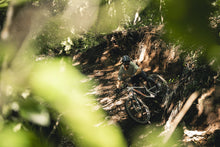 Load image into Gallery viewer, ION MTB Shorts Traze Amp AFT Men 2024