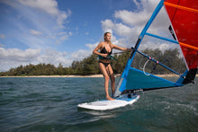 Carica l&#39;immagine nel visualizzatore di Gallery, Fanatic Gecko HRS Daggerboard Soft Top 2020
