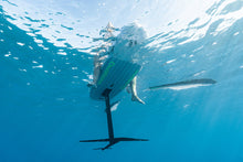 Carica l'immagine nel visualizzatore di Gallery, action_shot