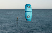 Load image into Gallery viewer, action_shot