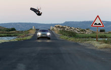 Load image into Gallery viewer, action_shot